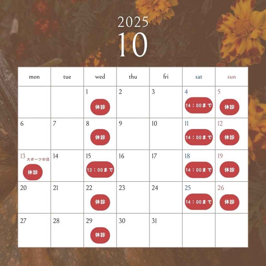 2025年10月休診日