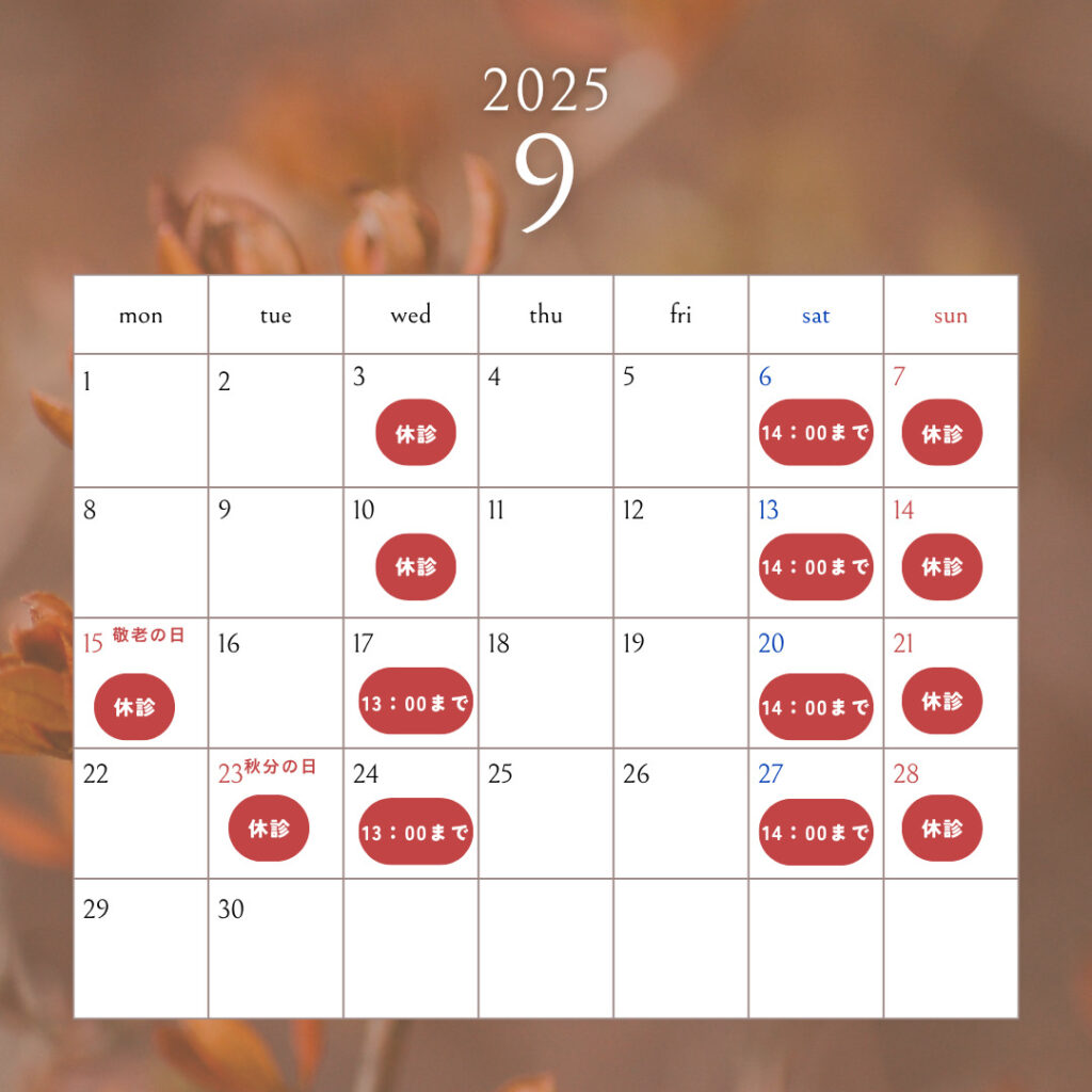 2025年9月休診日