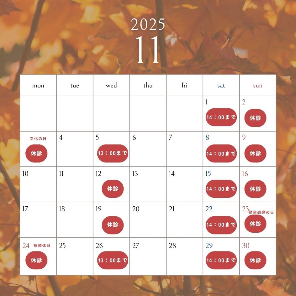2025年11月休診日