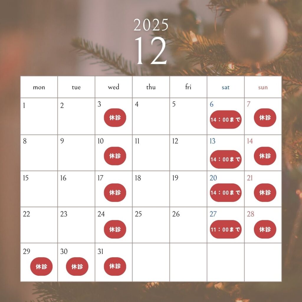 2025年12月休診日